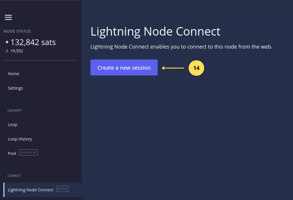 Lightning Node Connect