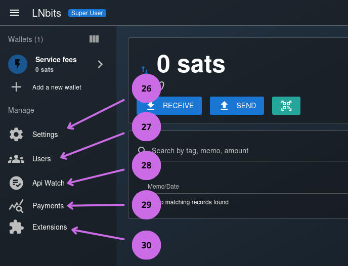 LNbits Advanced Options