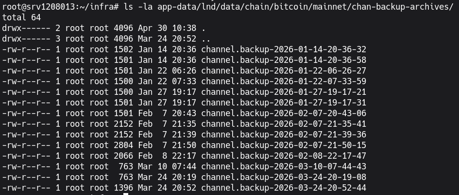 LND channel backup directory
