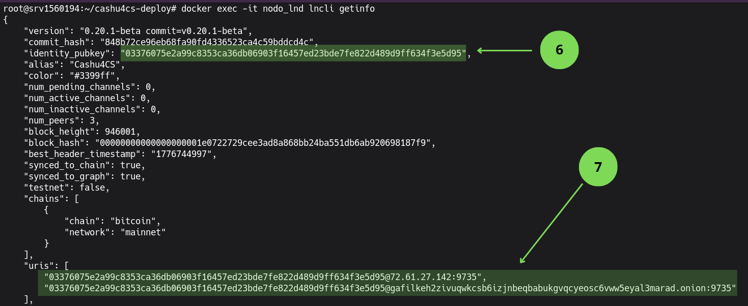 Comando lncli getinfo